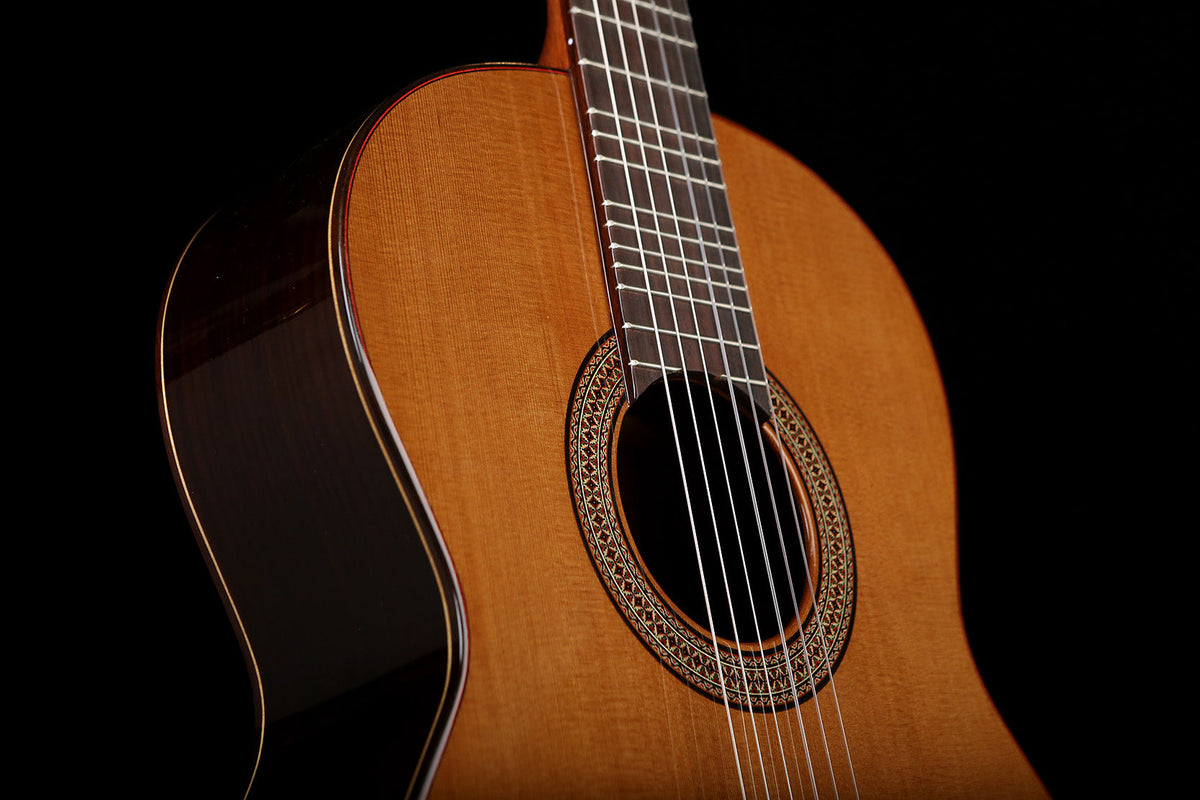 microtonal acoustic guitar