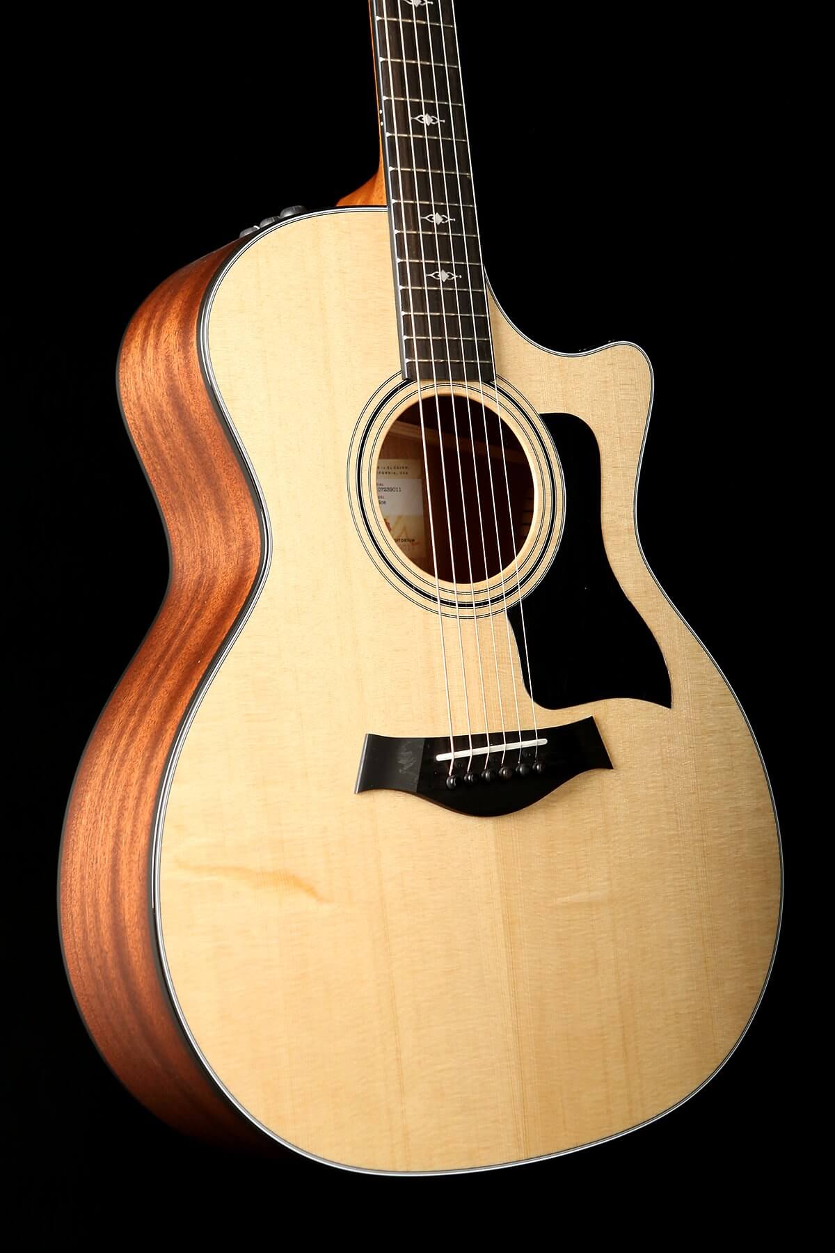 taylor's model 314ce