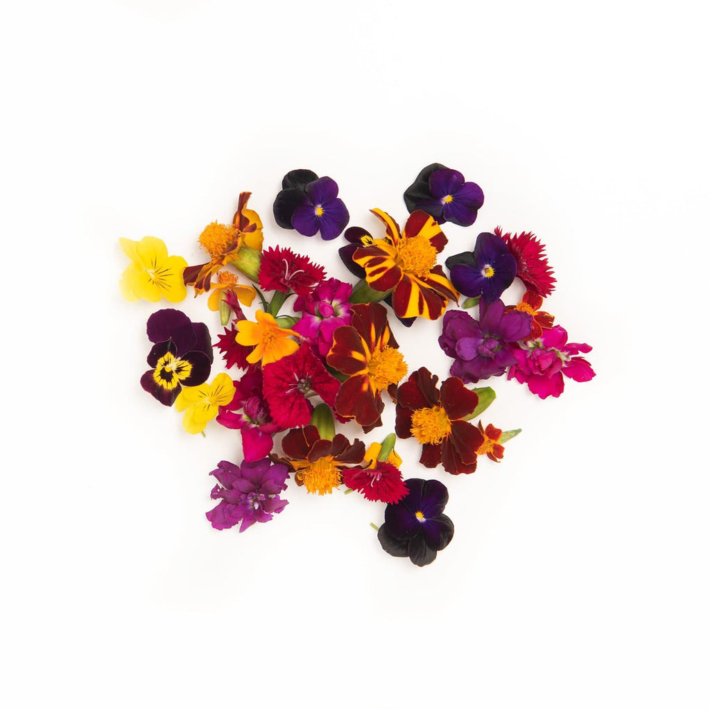 Edible Flowers for Drinks and Food, Bulk Edible Dried Flowers for Soap  Making and More! 1.5 Cups Each- Jasmine, Rosebuds, Rose Petals, Lavender,  Marigold, Chamomile, Bonus Rose Essential Oil, Kosher - Yahoo Shopping