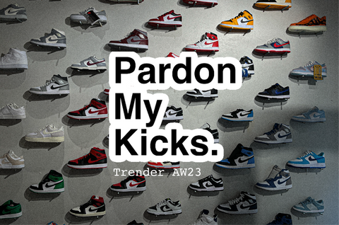 Pardon My Kicks Sneakers Air Jordan 1