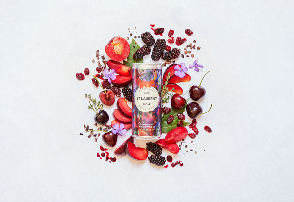 Canned Wine Co. St Laurent red wine surrounded by plums, violets, cherries and cranberries to show the flavour profile of the wine