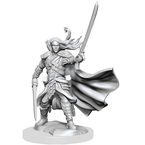 D&D Frameworks: W1 Female Human Fighter (Miniatures Madness Sale)