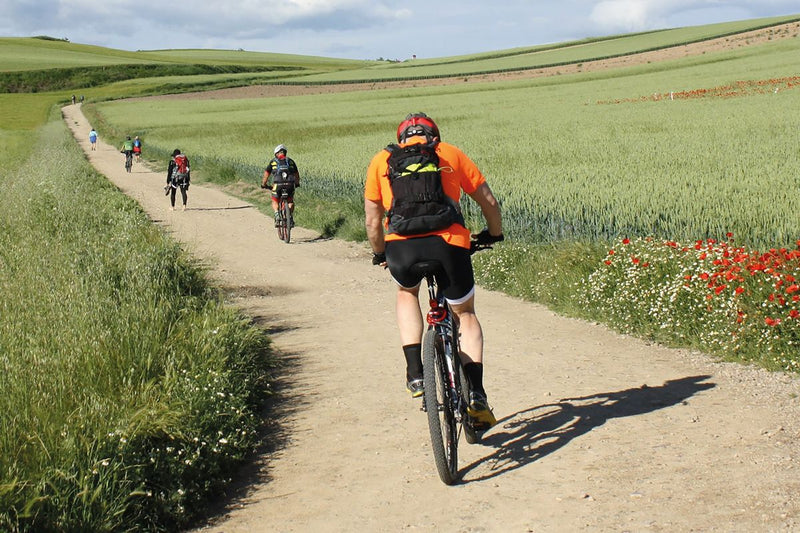 cycling the camino