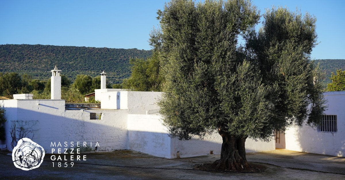 Masseria Pezze Galere