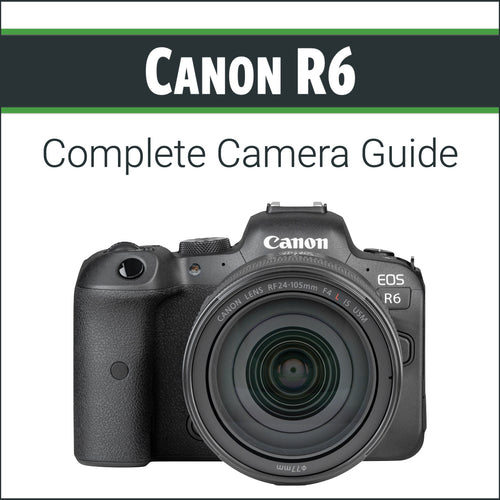 Canon EOS R6 II: Pocket Guide: Buttons, Dials, Settings, Modes, and  Shooting Tips (The Pocket Guide Series for Photographers, 30): Nook, Rocky:  9798888141243: : Books