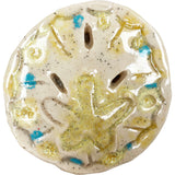Ceramic Arts Handmade Clay Crafts Fresh Fish 3.5-inch x 3.5-inch Glazed Shell by Emily Knoles WR-2541