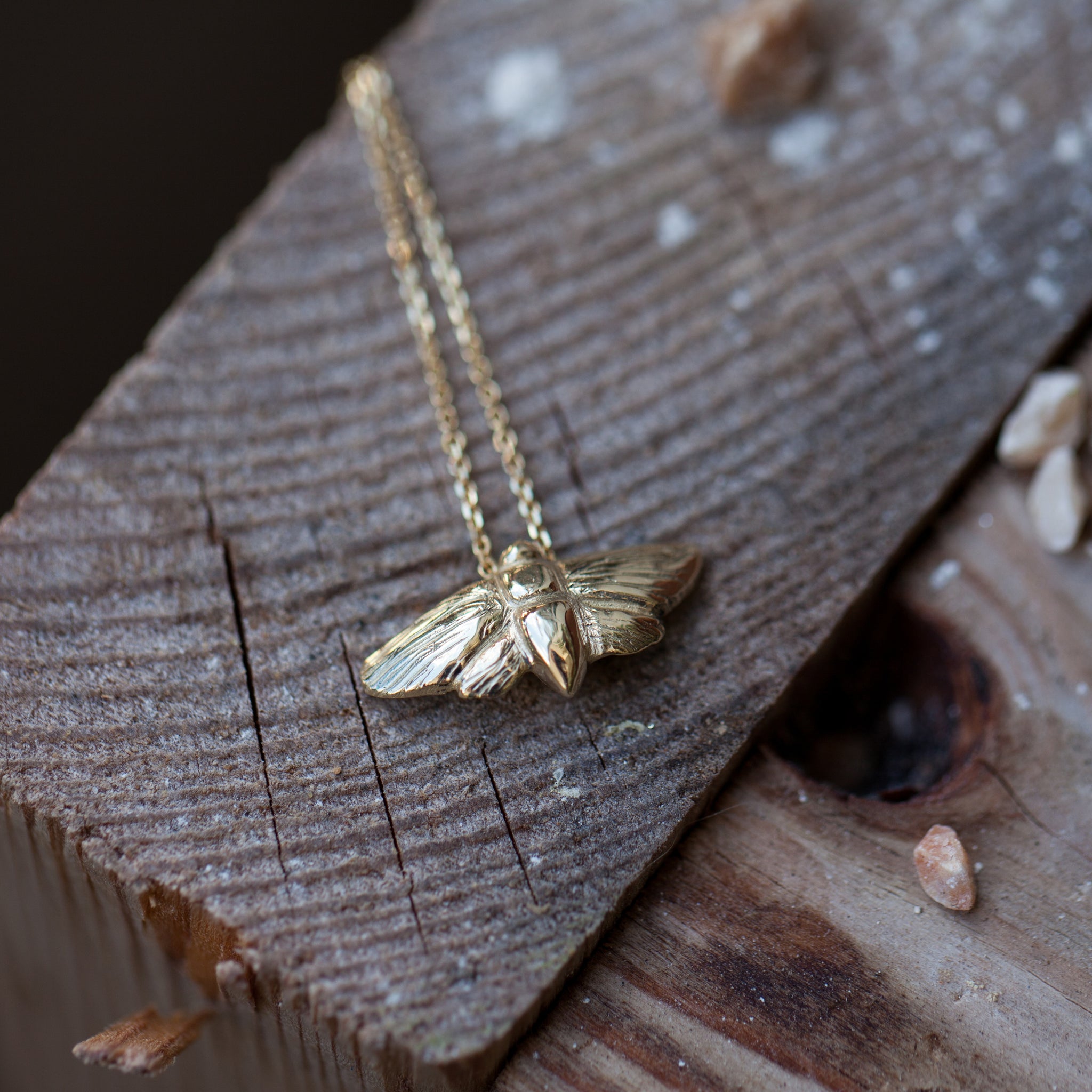 Small 14k gold Moth necklace – Kwintner