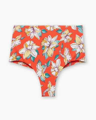 Hibiscus Isla Bikini Bottom
