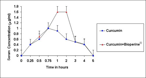 Effect of BioPerine on Curcumin in Rats