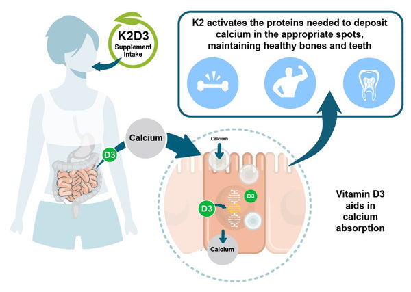 k2d3 for bone support