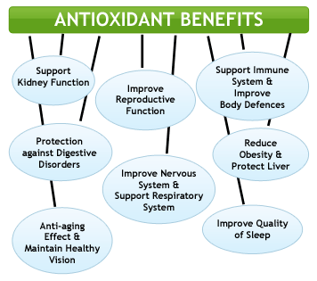 turmeric antioxidant benefits chart