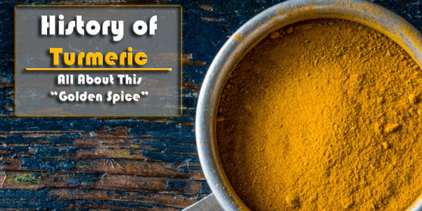 history of turmeric curcumin