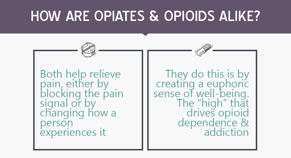 how opiates and opiods work