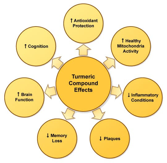 turmeric benefits wheel chart