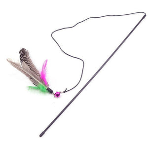 cat feather wand