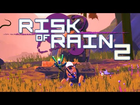 risk of rain 2 steam chrats