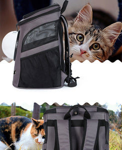 fat cat backpack