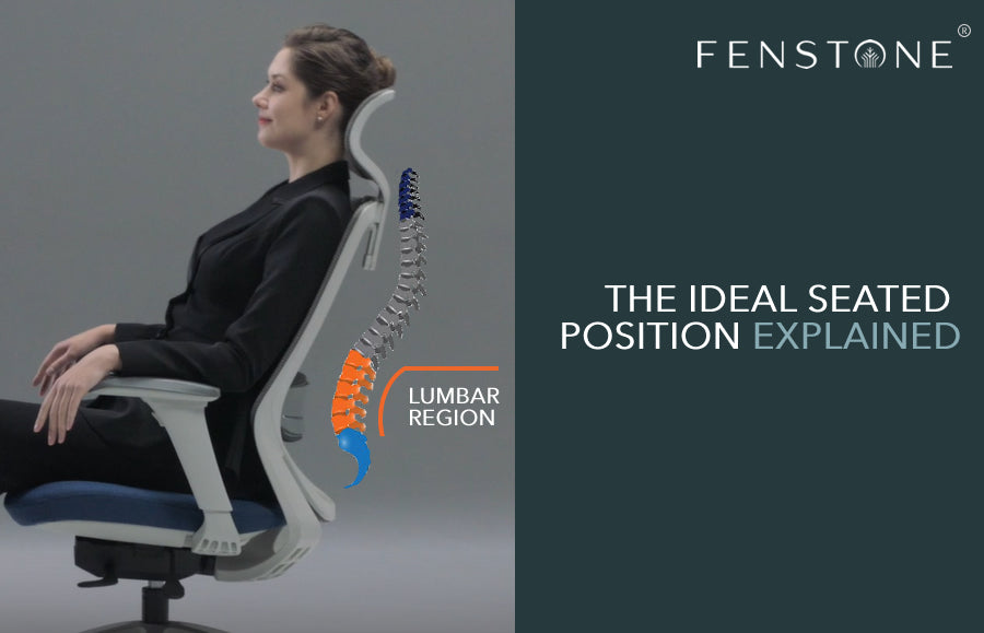 Ideal Ergonomic Seated Position