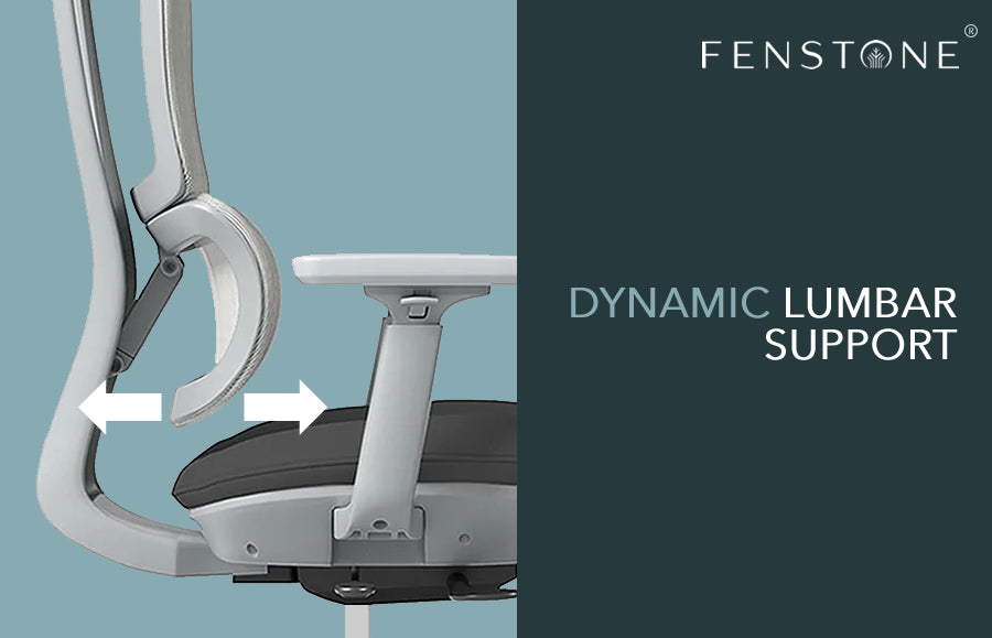 Dynamic Lumbar Support