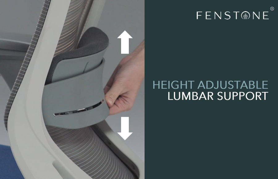 Height Adjustable Lumbar Support