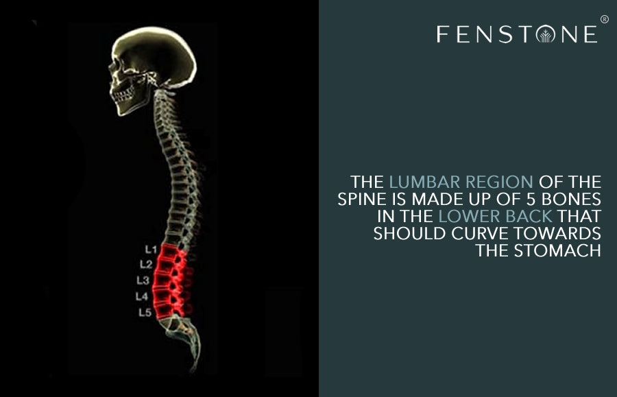 Spinal Lumbar Support Diagram