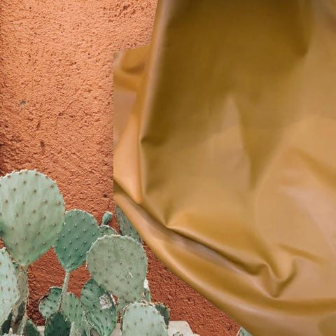 cuir de cactus végétalien