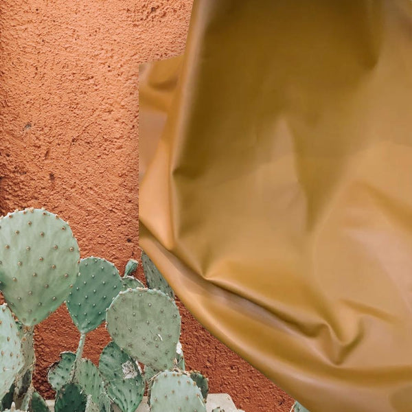 cactus leather is a vegan and non leather material created from plants