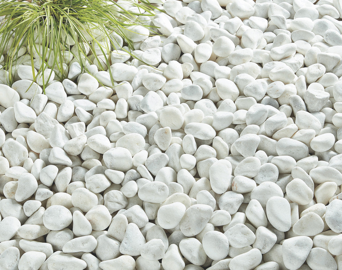 Белые маленькие камни