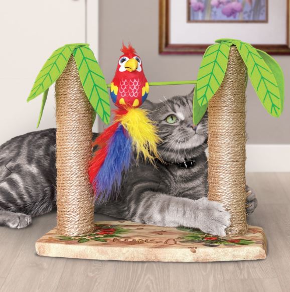 Kong Cat Play Spaces
