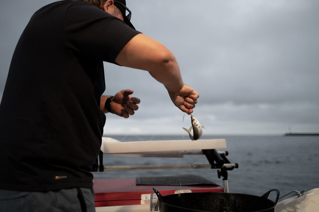 Greeny with a live bait on day two - Wearing the Desolve Classic TTTW Tee - Black