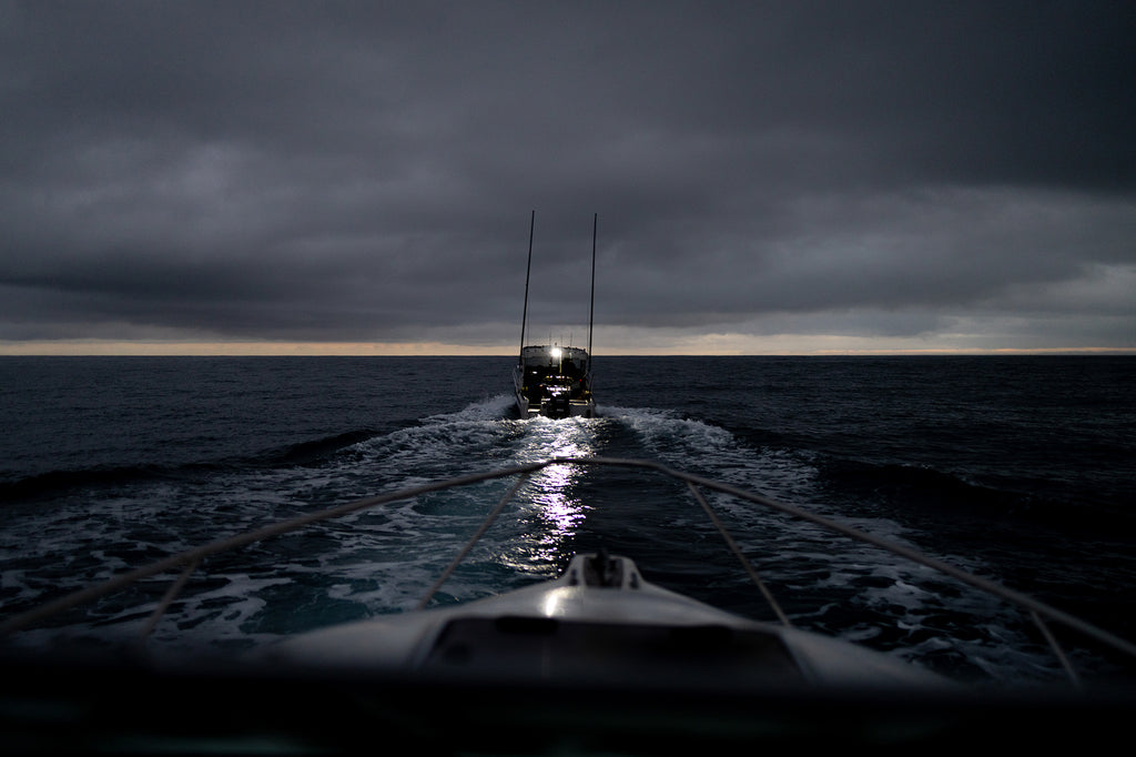 Setting off early in the morning off Port Taranaki to chase marlin on day 3