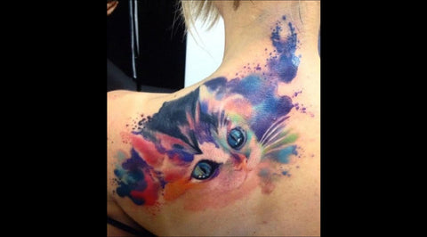 Tatouage de chat  -  Cat Tatoo - Animalerie en ligne
