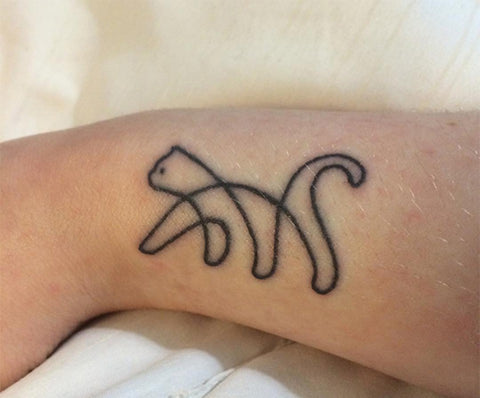 Tatouage de chat  -  Cat Tatoo - Animalerie en ligne