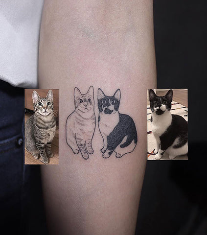 Tatouage de chat  -  Cat Tatoo - Animalerie en ligne