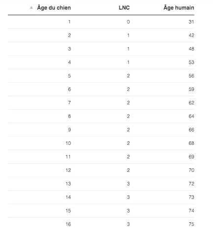 L Age Du Chien Vs L Age Humain En Proportion Selon La Race Boutique Le Jardin Des Animaux