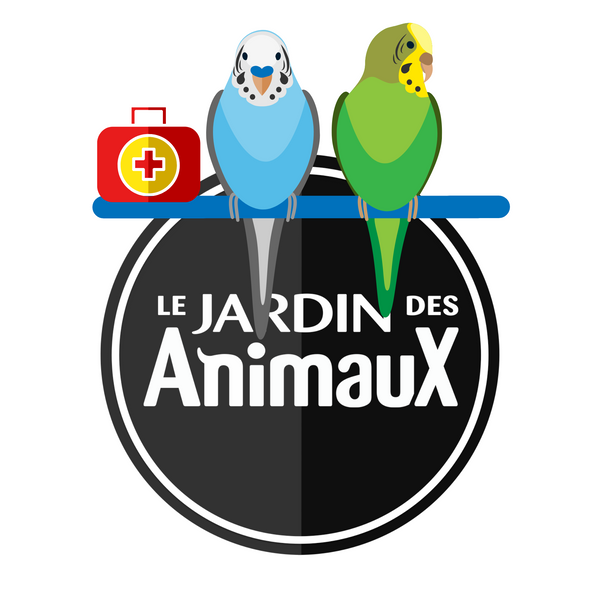 Comment détecter des problèmes chez les oiseaux - Le Jardin Des Animaux PODCAST