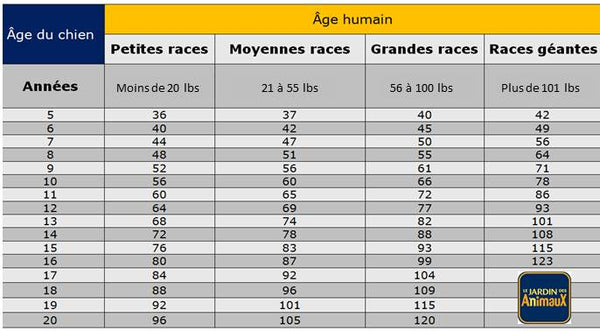 L Age Du Chien Vs L Age Humain En Proportion Selon La Race Boutique Le Jardin Des Animaux