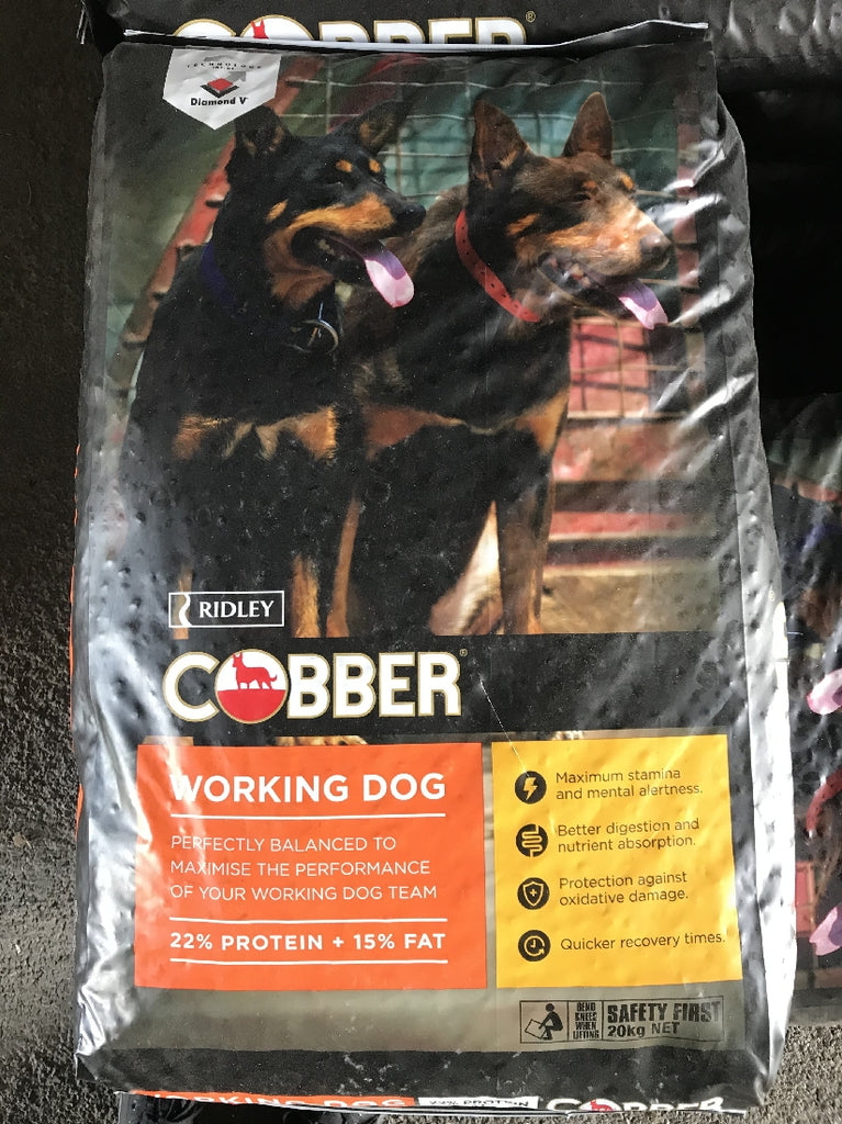 cobber working dog 20kg