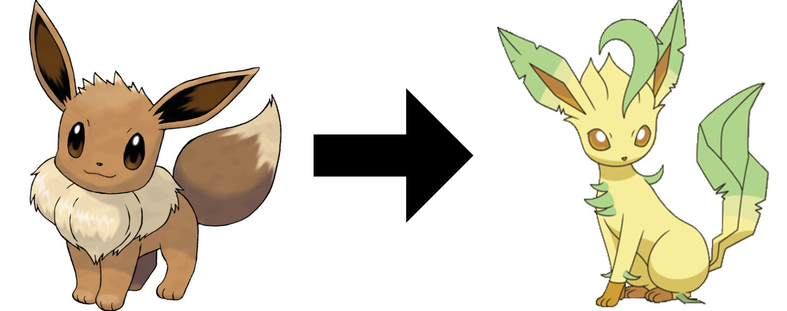 How to Evolve Eevee into Leafeon in pokemon sword and shield