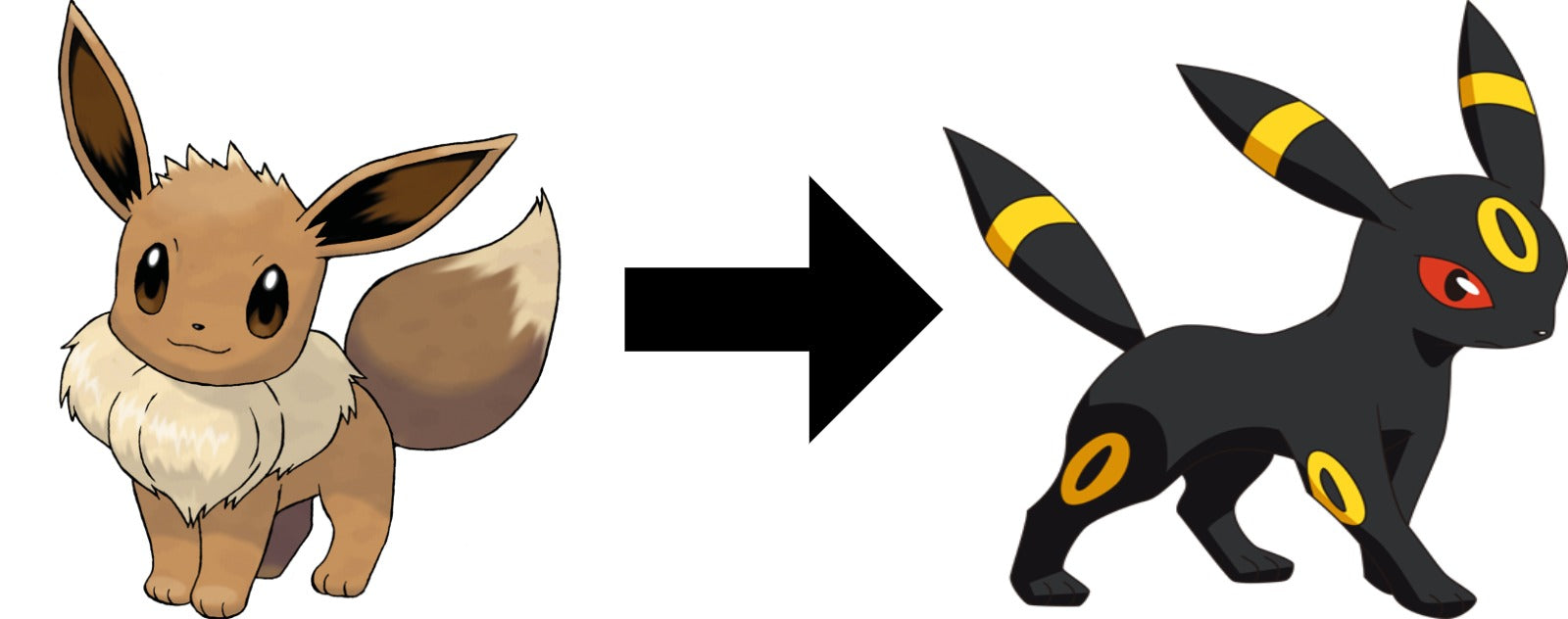 How to evolve Eevee to Espeon, Umbreon & Sylveon in Pokémon Sword & Shield  - Dexerto