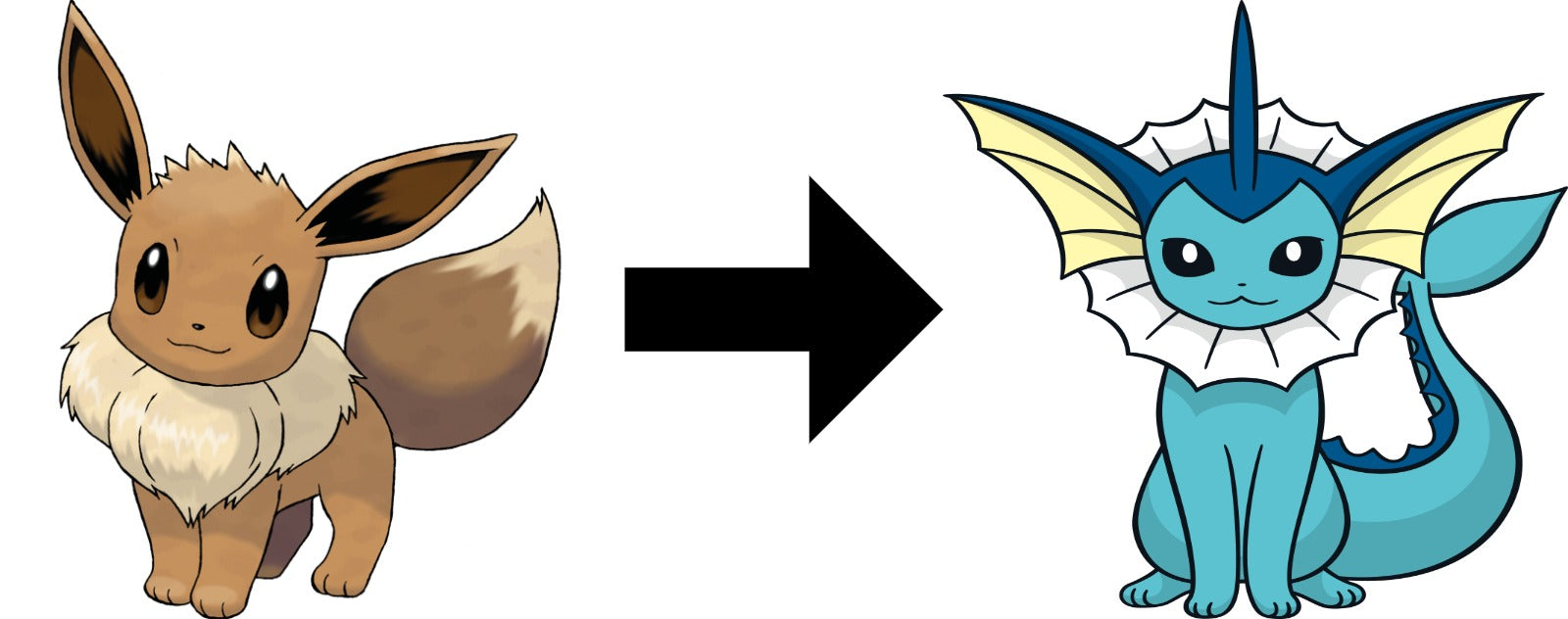 How to Evolve Eevee into Vaporeon in pokemon sword and shield