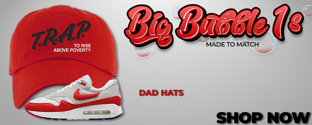 Big Bubble 1s Dad Hats to match Sneakers | Hats to match Big Bubble 1s Shoes