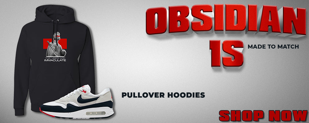 Obsidian 1s Pullover Hoodies to match Sneakers | Hoodies to match Obsidian 1s Shoes