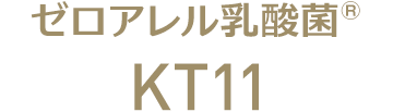 KT-11 HP（ゼロアレル乳酸菌®︎）