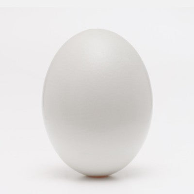 egg