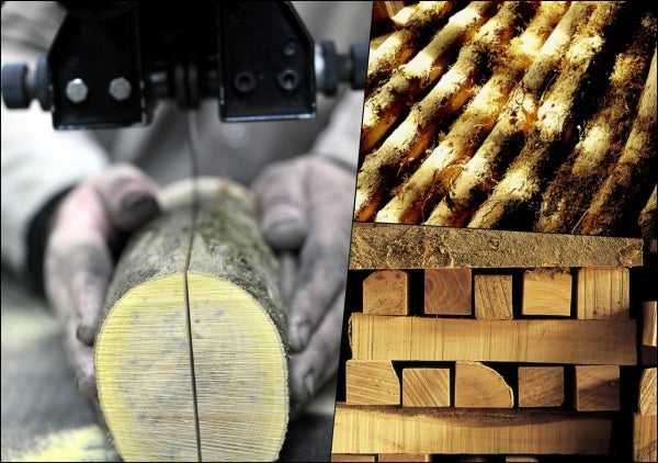 boxwood being cut and stored before making nontron knife handles