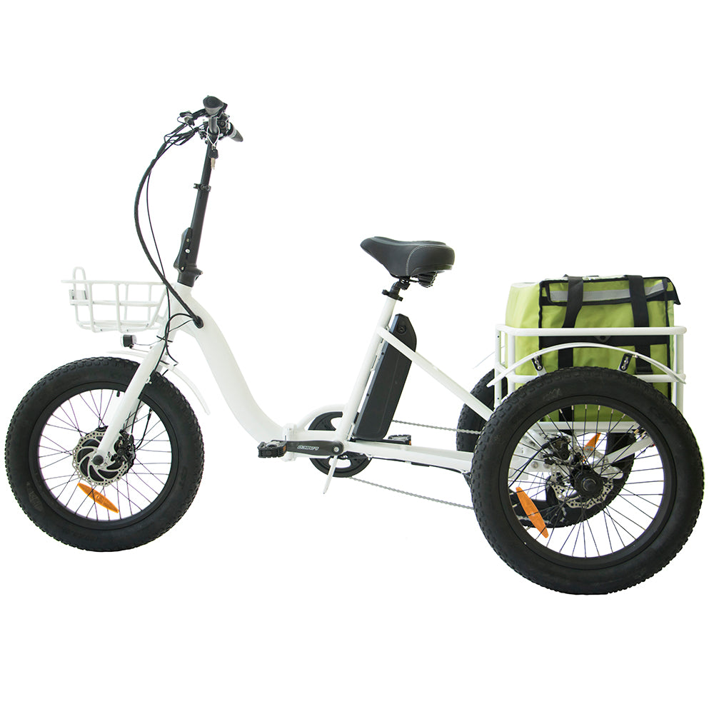 20 trike bike