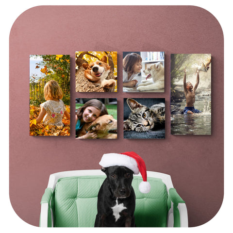 6 photo tiles on wall behind armchair with dogs sitting in it