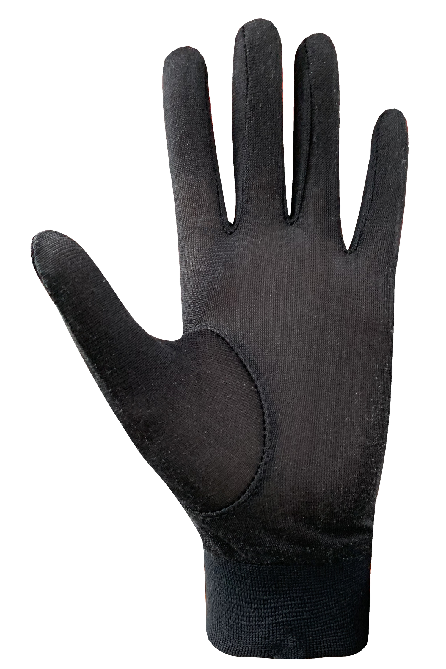 Nike Therma-FIT GORE-TEX Running Gloves