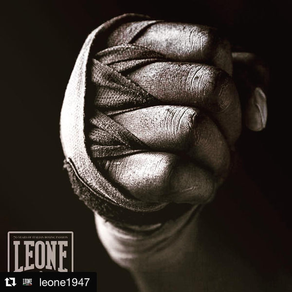 negozio roma leone boxe